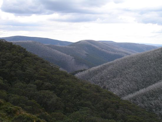 Ueber die Great Alpine Road 
- Victorian Alps -