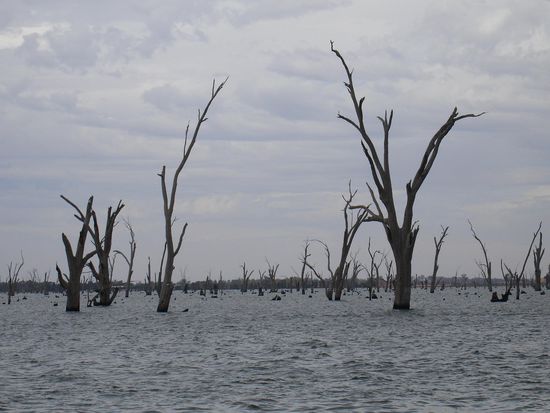Am Lake Mulwala in Yarrawonga 
- etwa 35 km von Cobram entfernt -