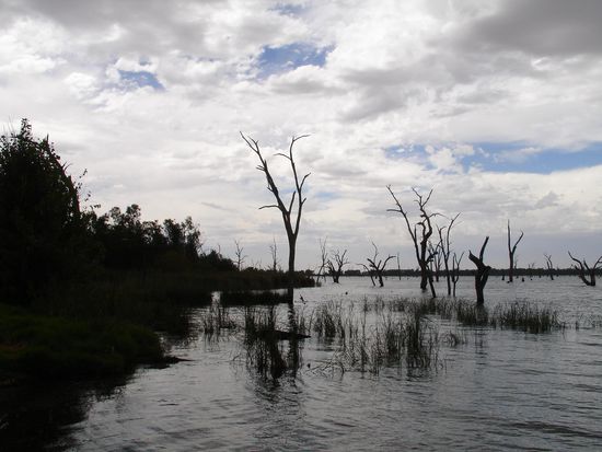 ...hier wurde der Fluss durch einen Damm in einen See umgewandelt und die ganzen Baume wurden dabei ueberschwemmt.
- schaut irgendwie sehr mysterioes aus! -