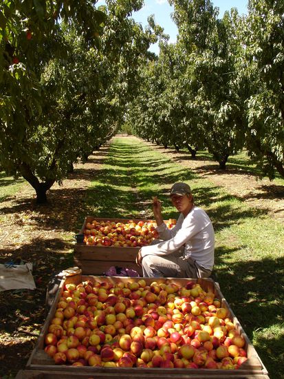 Pause...
Morgens halb zehn in Australien 