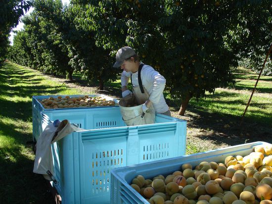 Ja die grossen Kisten muessen voll werden!! 
Wir schaffen in der Regel 6-7 am Tag