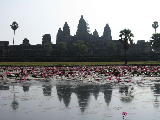 Angkor Wat im Morgenlicht