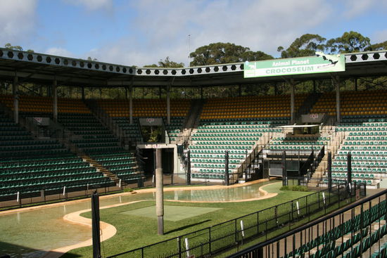 Crocoseum