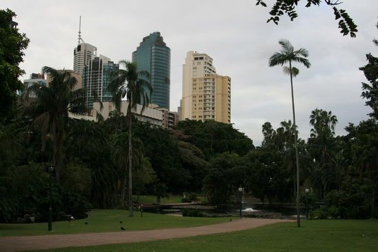 Brisbane 1
