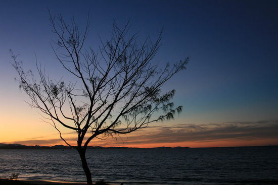 Sundown Byron Bay