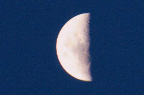 Mond