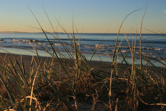 Beach View