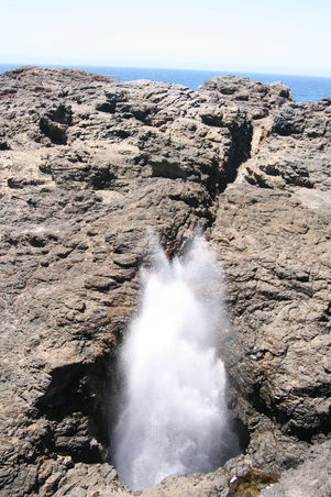 Blowhole