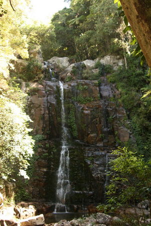 Wasserfall im Minnamurra Rainforest
