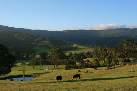 Landscape 1