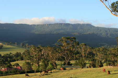 Landscape2