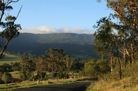 Landscape3