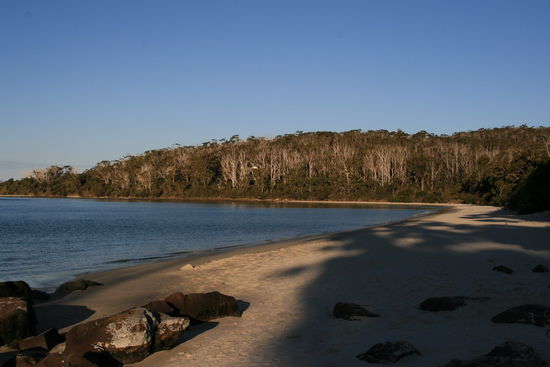 Beach am Cockle Creek