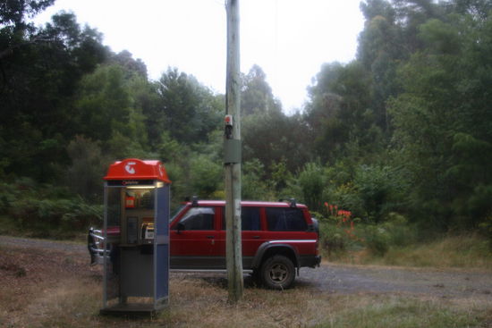 Phone im Wald