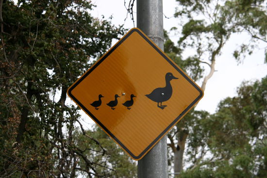 Adelaide
