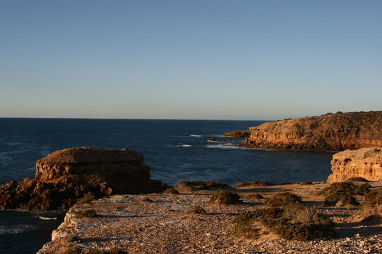 Cape Bauer