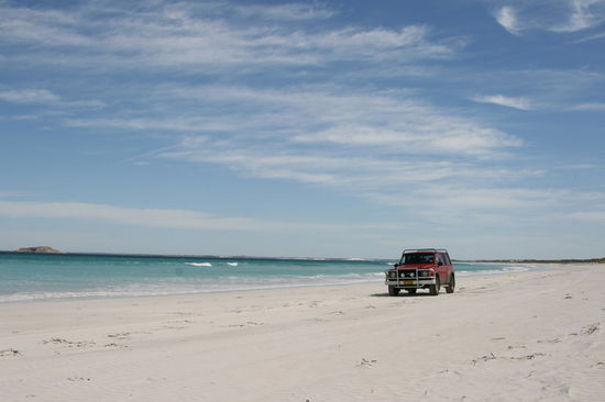 Maverik am Strand