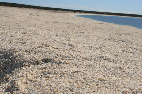 Shell (Muschel) Beach