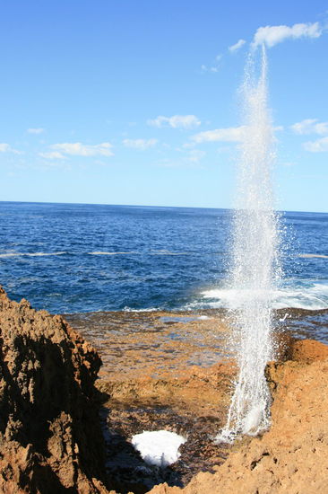 Blowhole