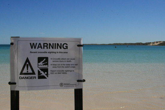 Croco Warning