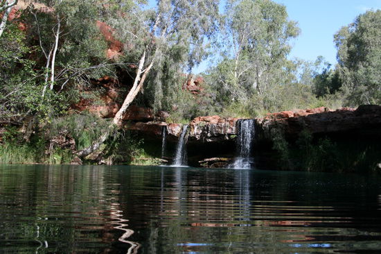 Fern Pool Karijini NP