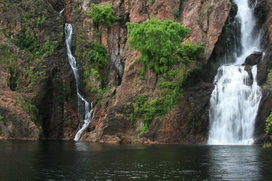 Litchfild National Park
