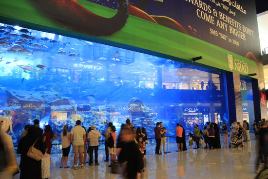 Aquarium in der Dubai Mall