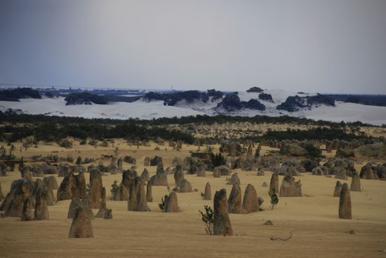 Pinnacles im Nambung National Park