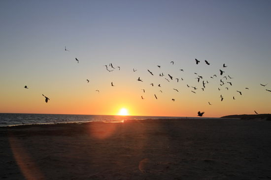 am Strand von Denham