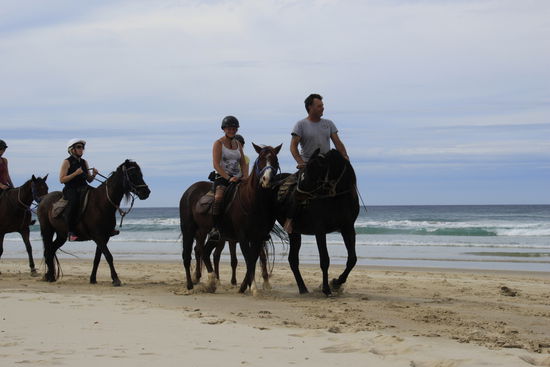 scheint Spass zu machen