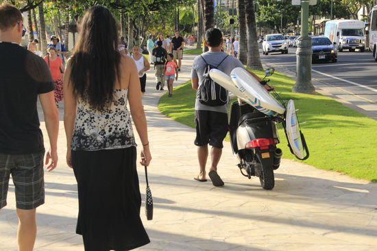 hier dreht sich alles nur ums surfen