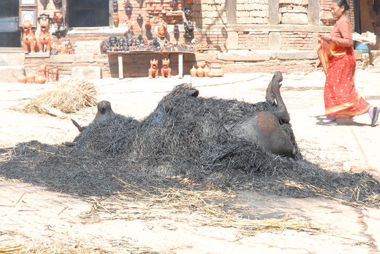Da versuchen die doch mitten in der Stadt, ein ausgewachsenes Rindviech mit ein wenig Stroh zu verbrennen.....???
