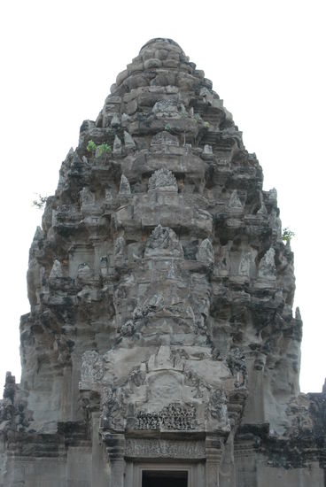 Einer der "Maiskolben" aus der Naehe