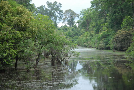Der Wassergraben von Wat Preah Khan