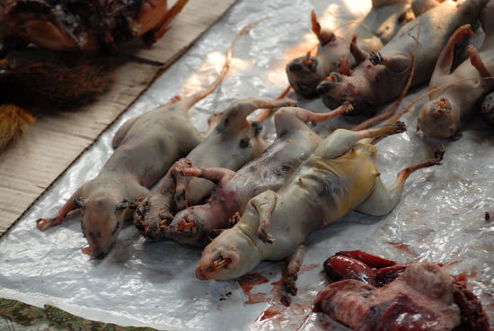 aus laotischen Landen ...