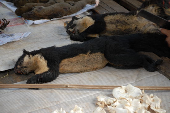 ... frisch auf den Tisch ...