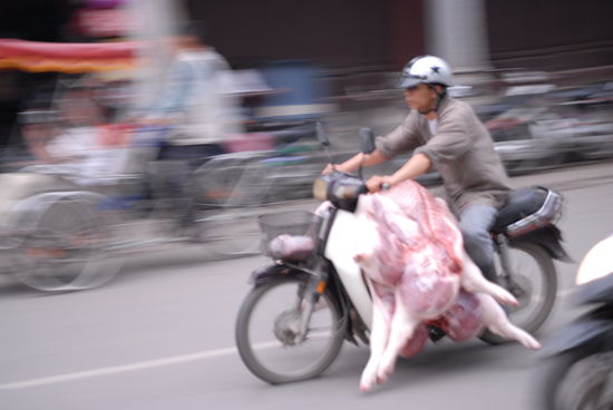 Was die ned so alles auf dem Moped transportieren ... hier zwei frisch geschlachtete Schweine