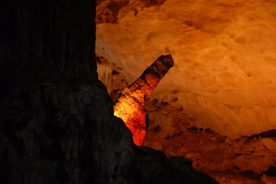 Was da nicht so alles aus den Steinen herauswaechst...