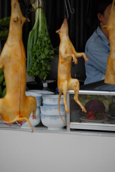 Was einem nicht alles auf der Speisekarte geboten wird ... ich sag nur "Wuff, wuff"