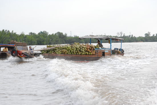 Und so gelangt das Obst aus dem Delta in die grosse weite Stadt