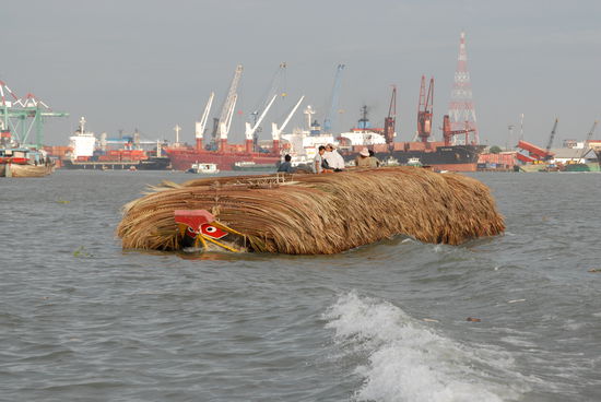 Palmwedel auf dem Weg in die Stadt
