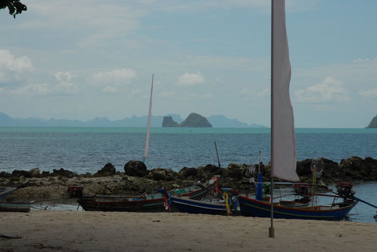 Der Blick beim Mittagessen ...