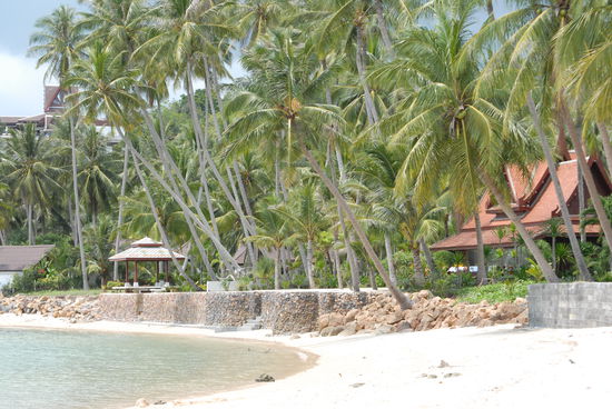 Traumhafter Blick am Beach