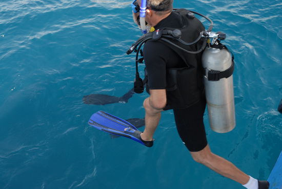 Noch oben an der Oberflaeche ...