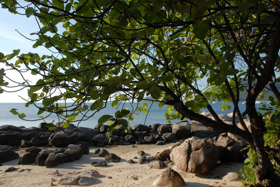 Zugang zum Lernbeach ... richtig malerisch
