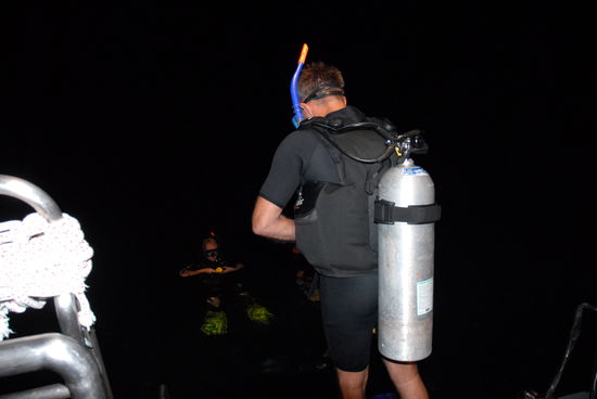 Noch sehe ich was, aber gleich wird es dunkel da unten