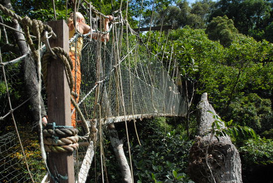 Baerbel auf den schwankenden Bruecken