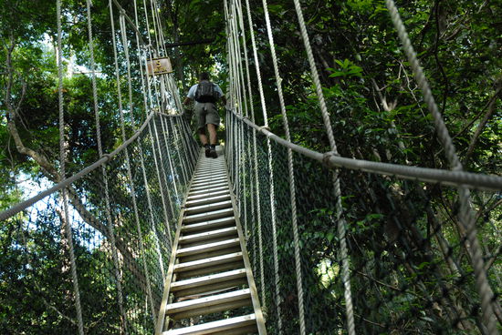 da gehts maechtig weit hoch