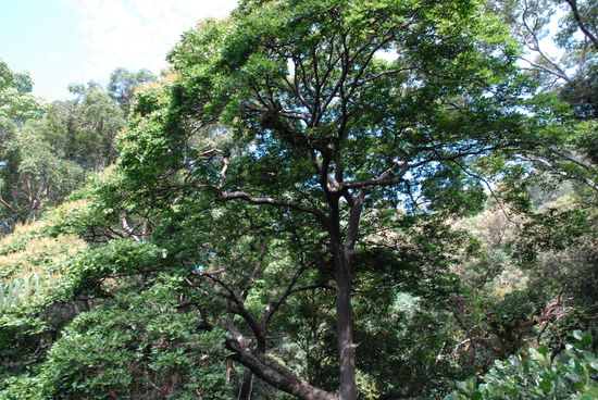 Natur pur und riesengross