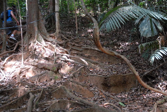 Auf dem Weg zur Aussichtsplattform